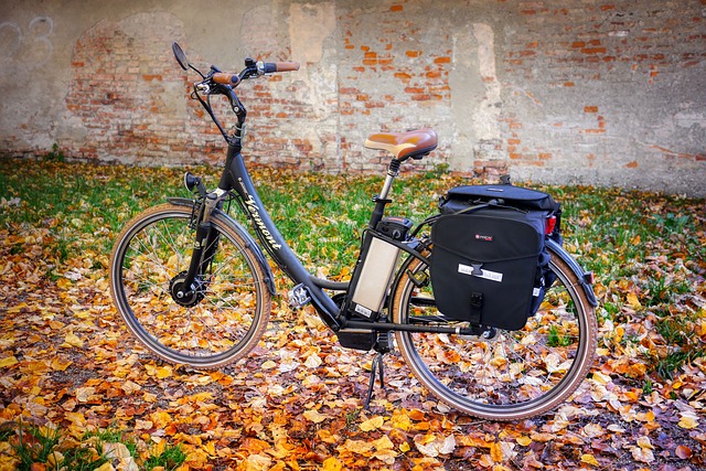 Wie schnell ist ein Elektrofahrrad?