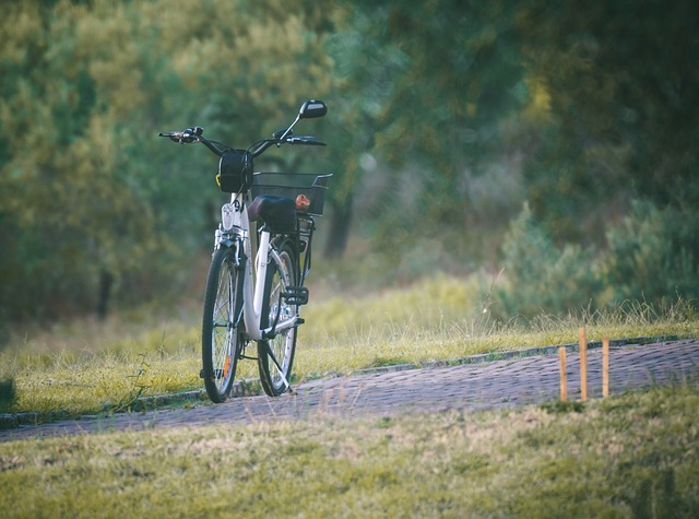 Warum sind E-Bikes so teuer?