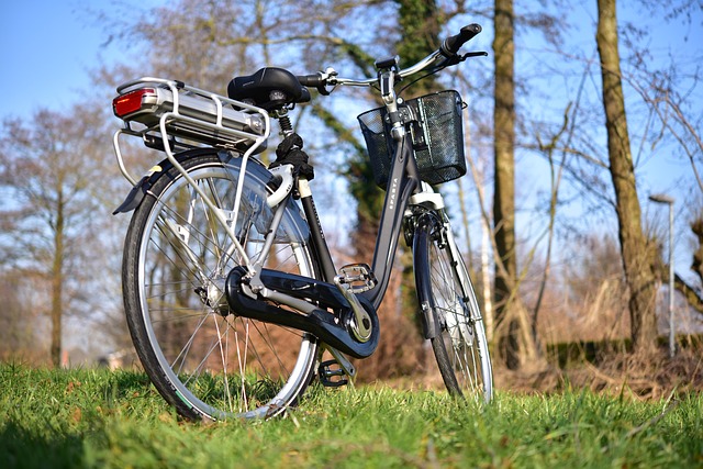 Leitfaden zum Kauf von Elektrofahrrädern: Geld sparen beim Kauf eines EV-Bikes