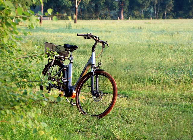 Warum fangen E-Bikes Feuer?